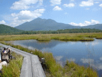 ���w�����B